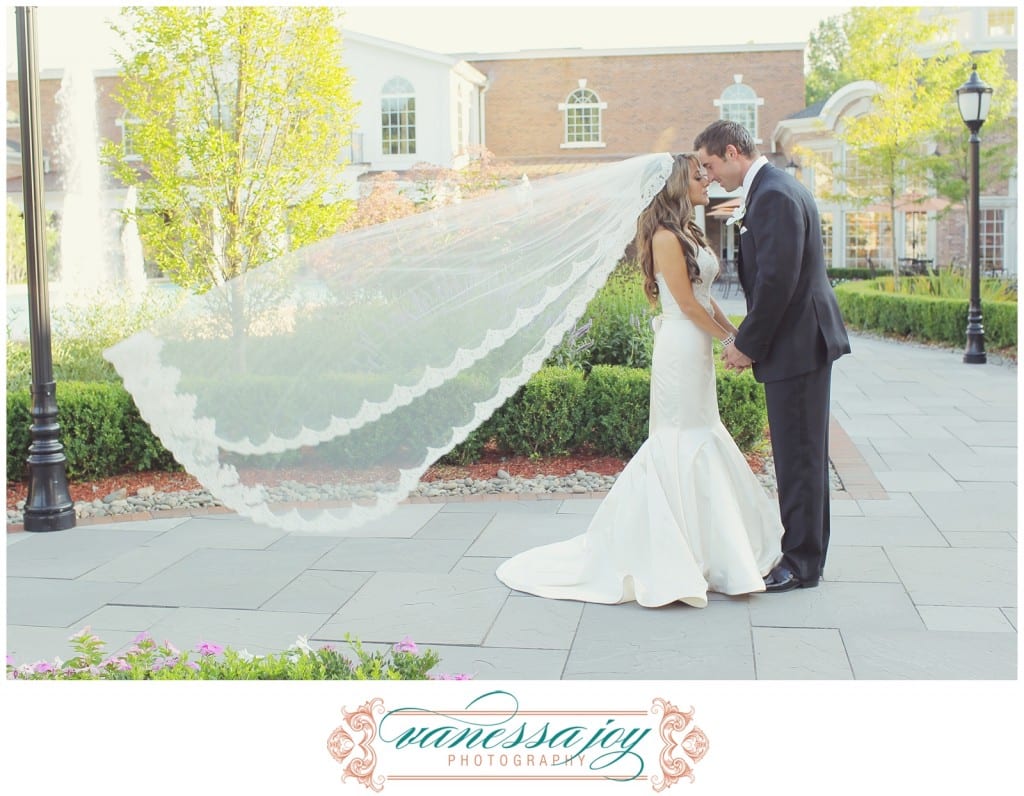 wedding veil photos