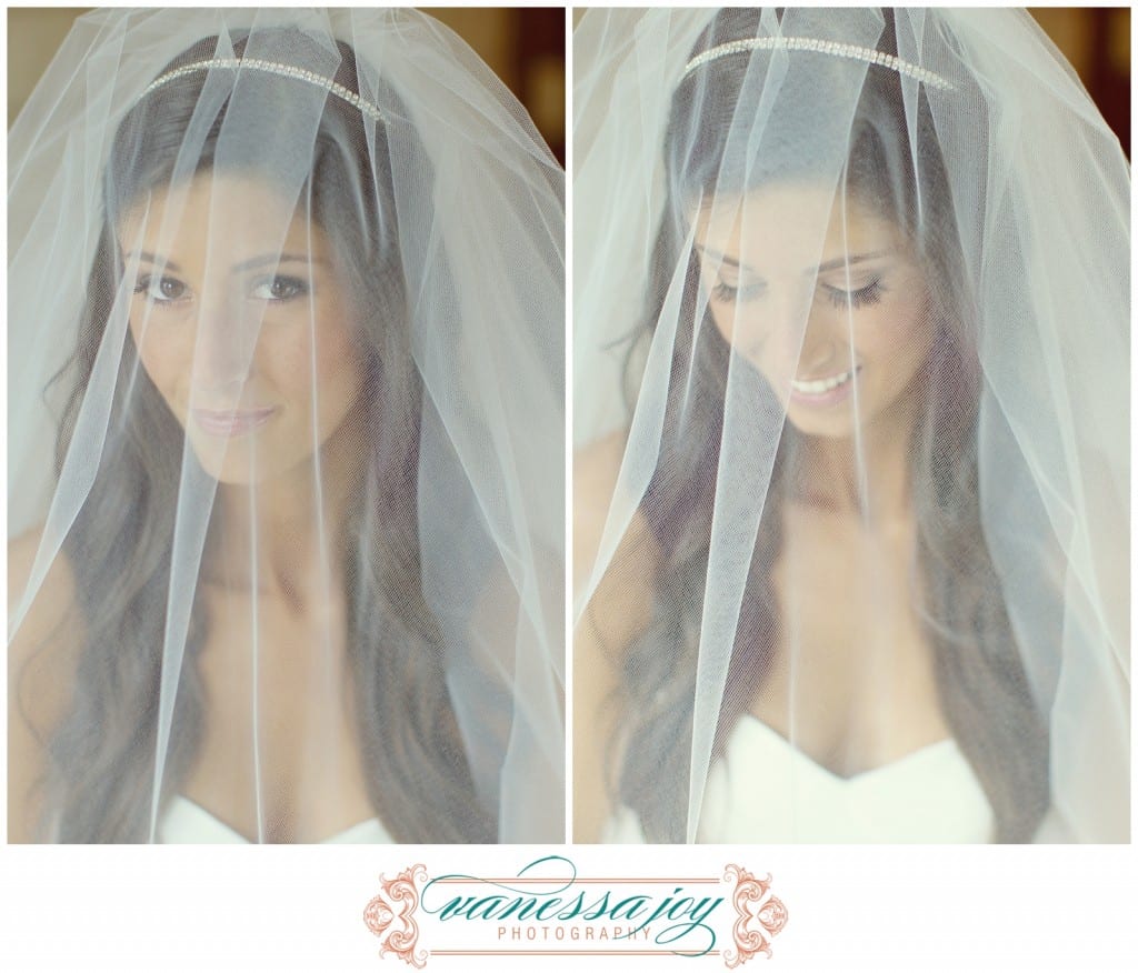 wedding veil photos