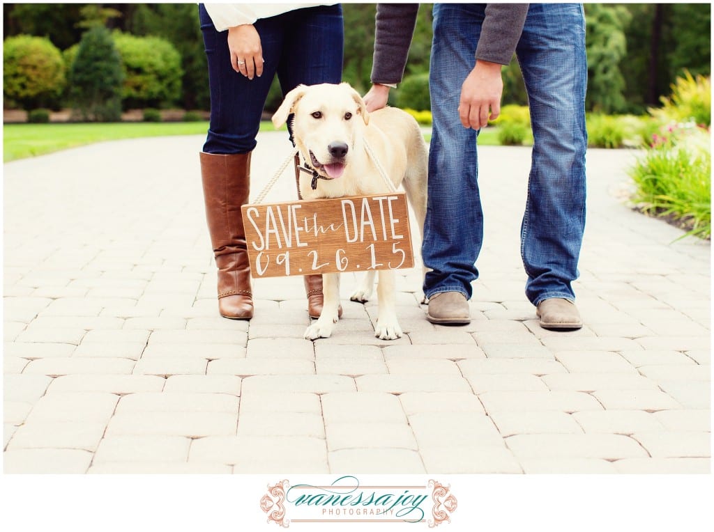 dogs in engagement photos