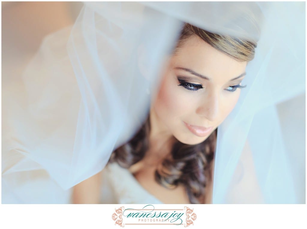 bridal portrait, wedding veil, ashford estate wedding