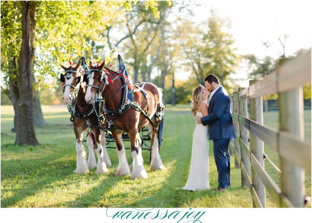 horse farm engagement photos