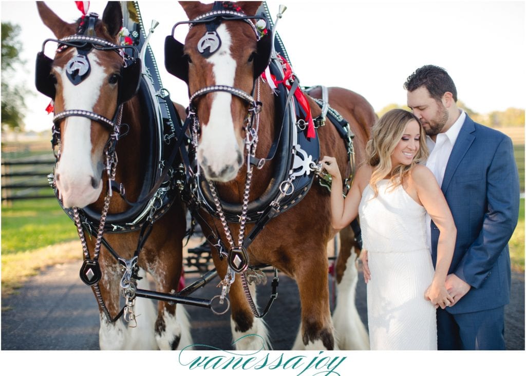 horsefarm engagement photos