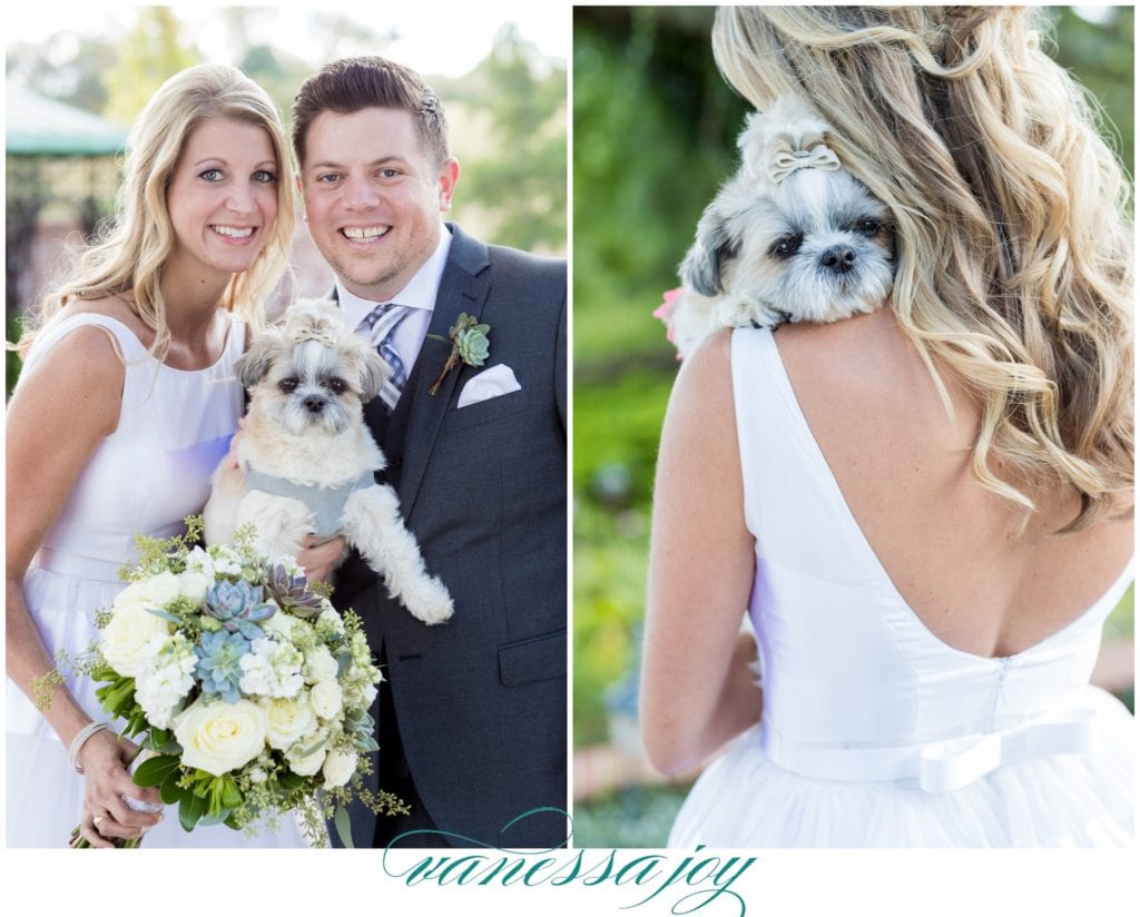 dog in wedding, adorable dog in wedding, fur mama