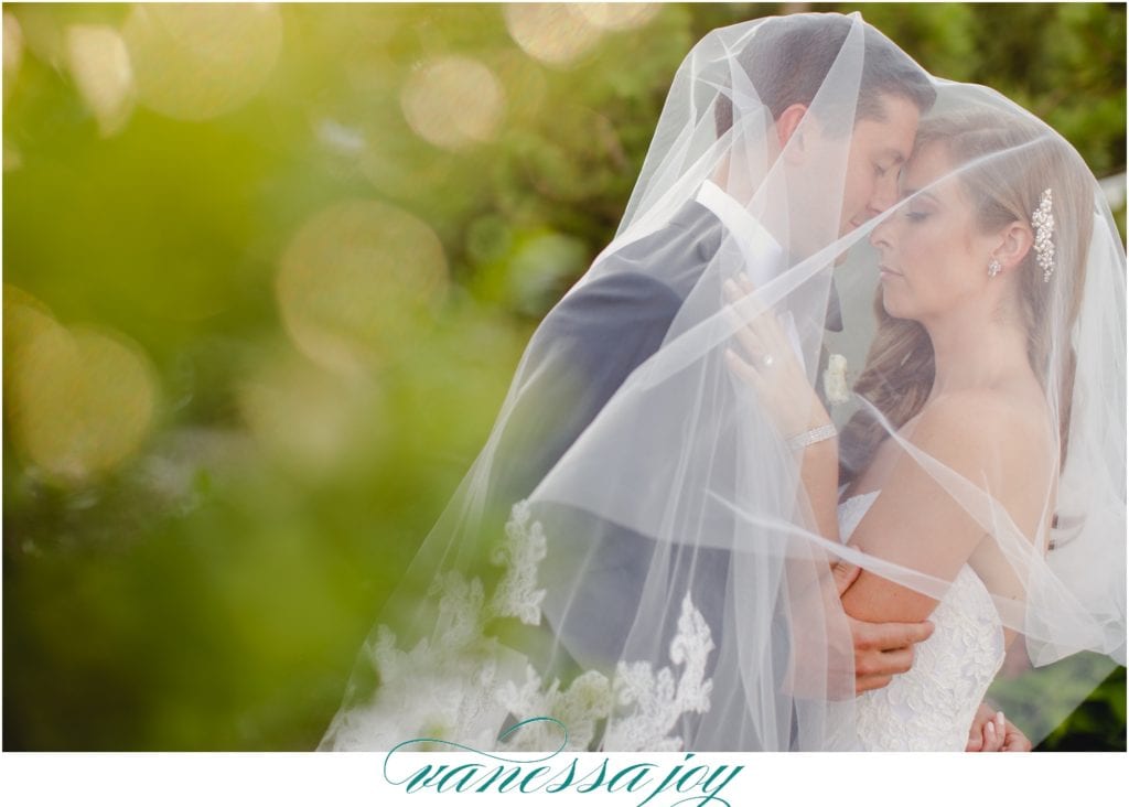 under the veil photographs, bride and groom portraits