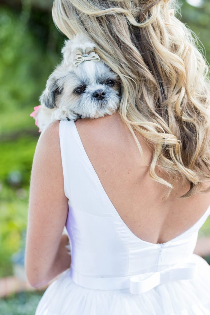 puppy photography; vanessa joy photography; wedding photographer