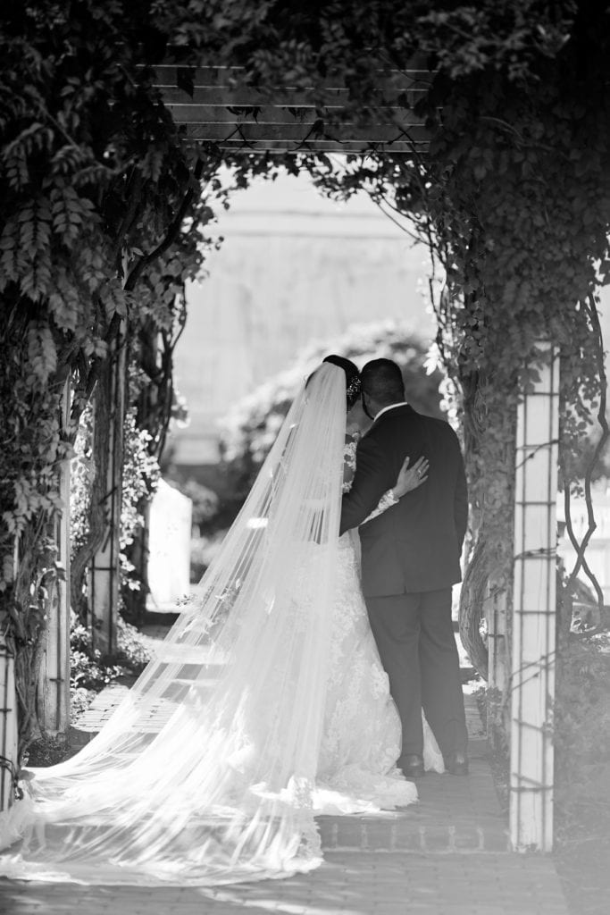 Pronovias wedding dress and veil