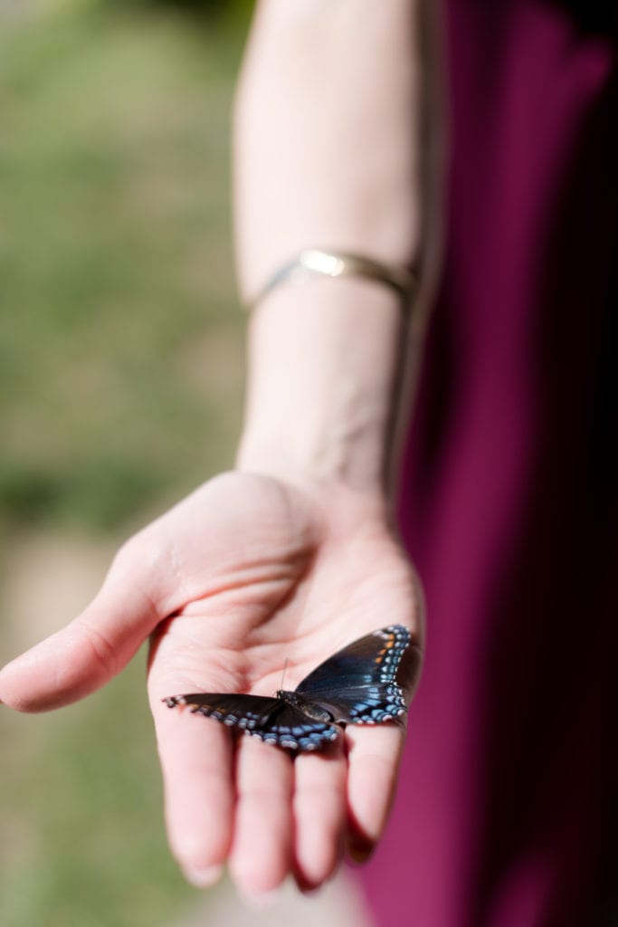 colorful butterfly, nj wedding photographer