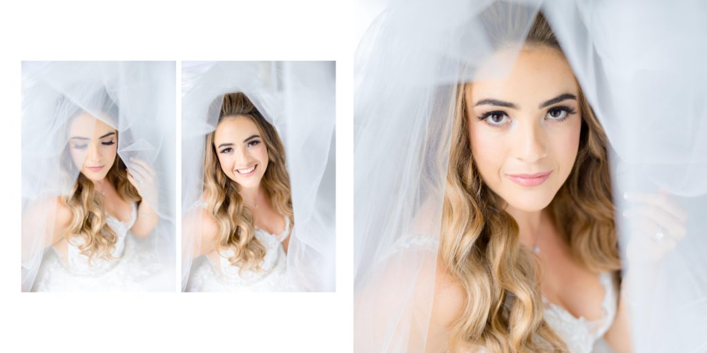 bride veil portraits