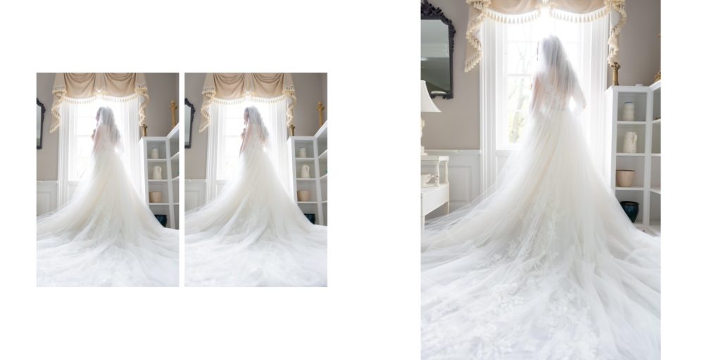 bride with cathedral veil