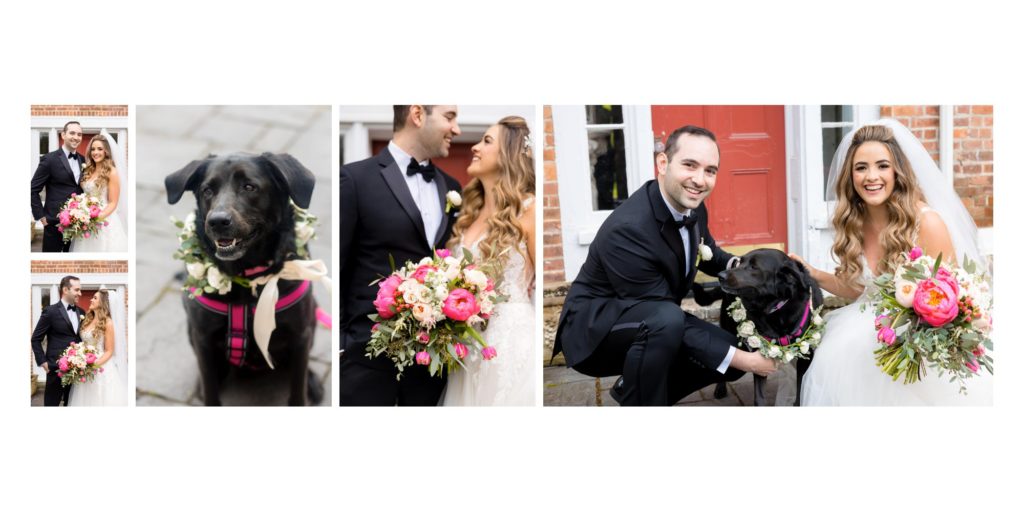 wedding dog